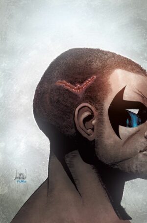 Nightwing 8