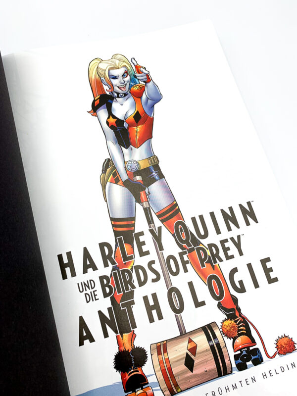 Harley Quinn und die Birds Of Prey - Anthologie – Bild 5