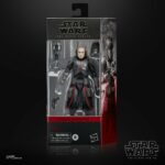 Star Wars: The Bad Batch - Echo 6 inch Action Figure